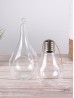 Light Bulb Micro Landscape Glass Vase